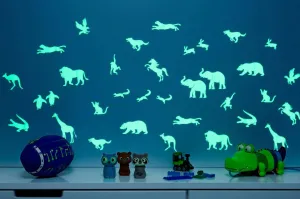 Animal Safari