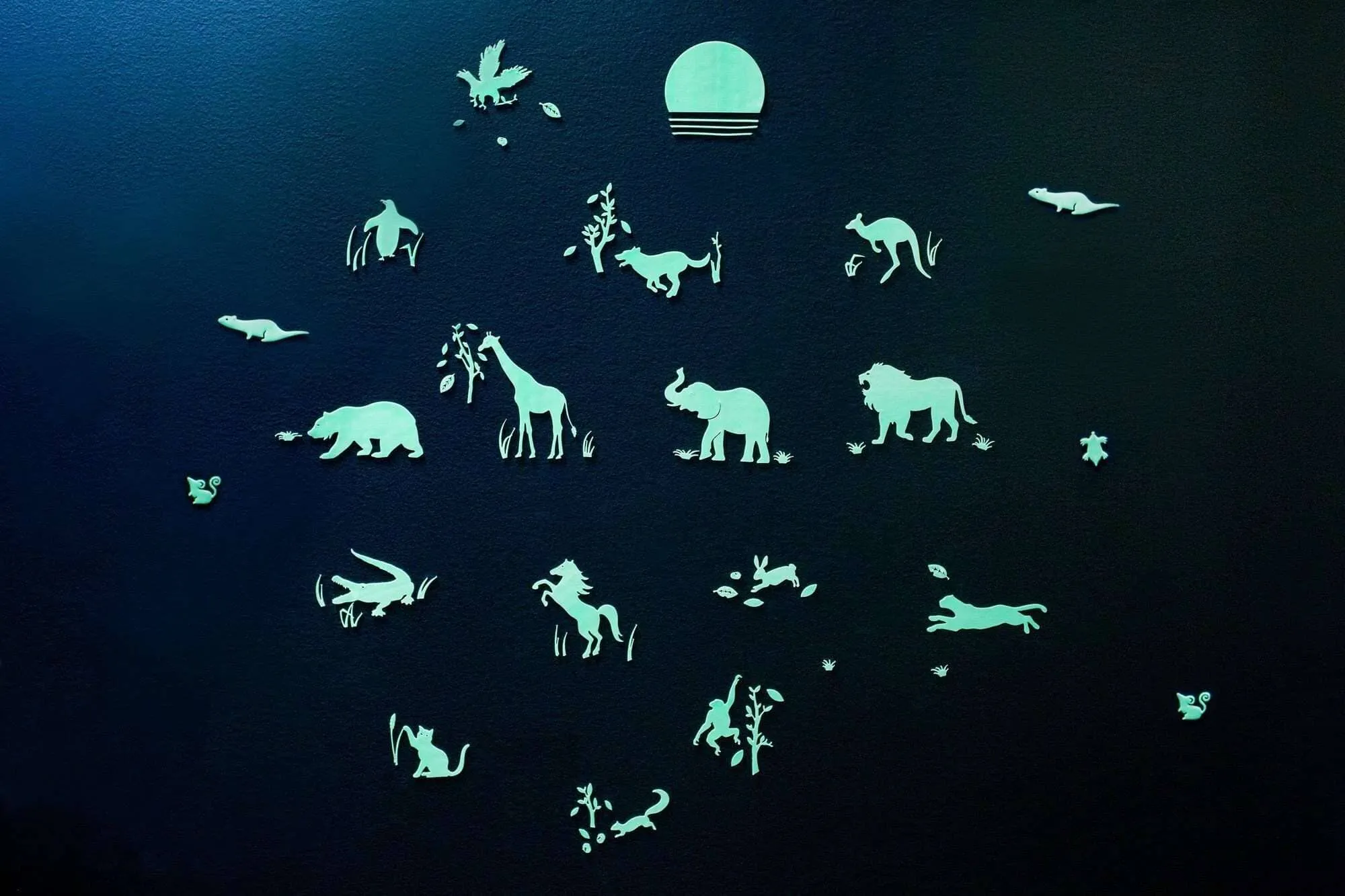 Animal Safari