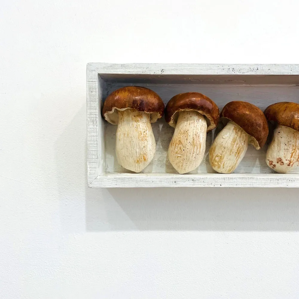 Mushroom Set - 10% discount