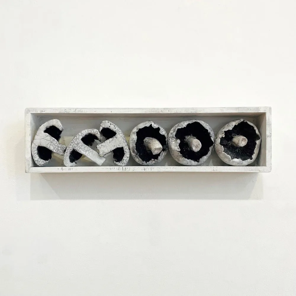 Mushroom Set - 10% discount