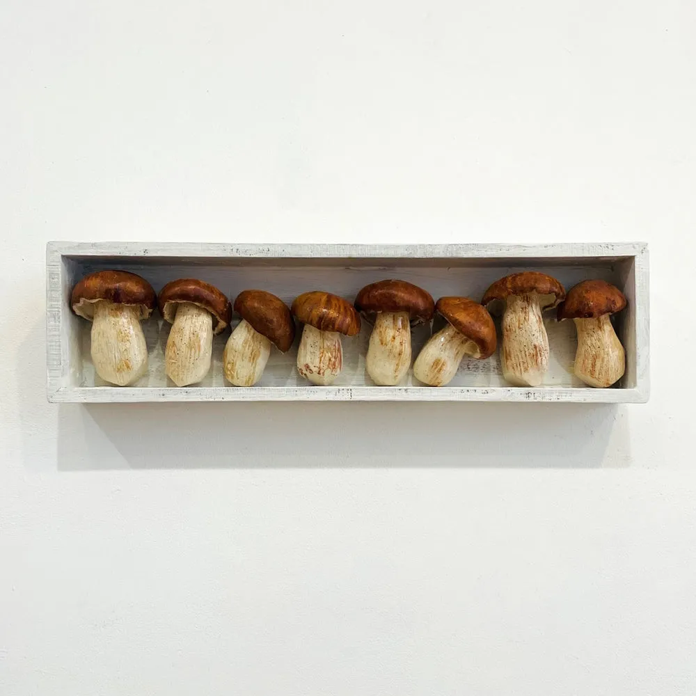 Mushroom Set - 10% discount