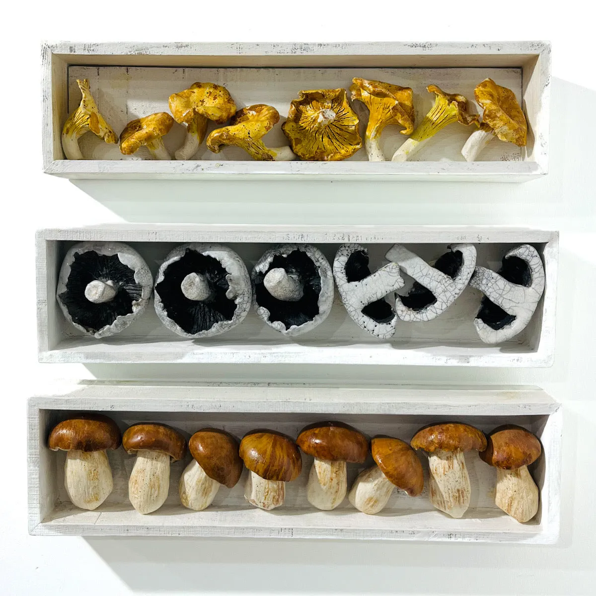 Mushroom Set - 10% discount