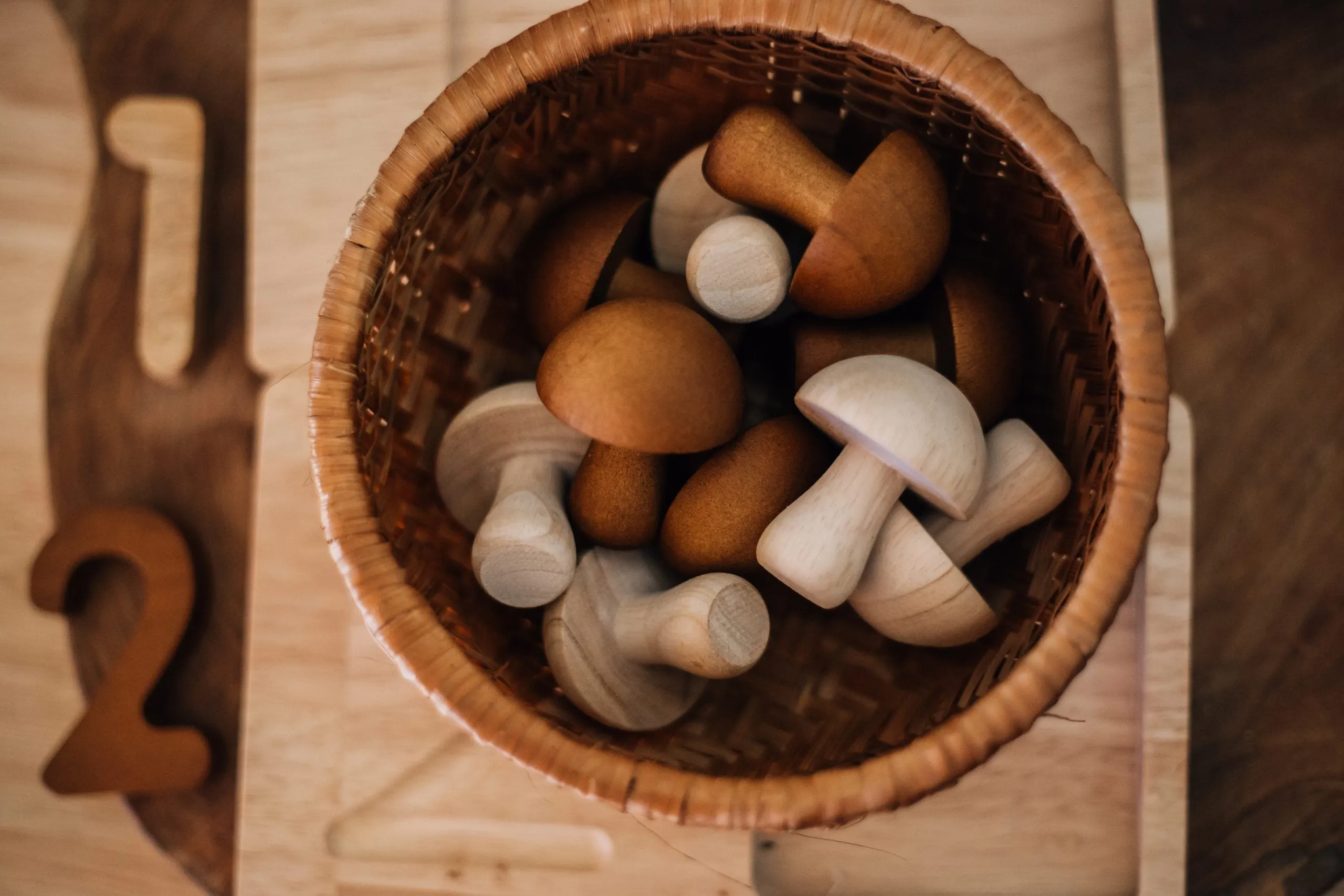 Mushrooms - Set of 10