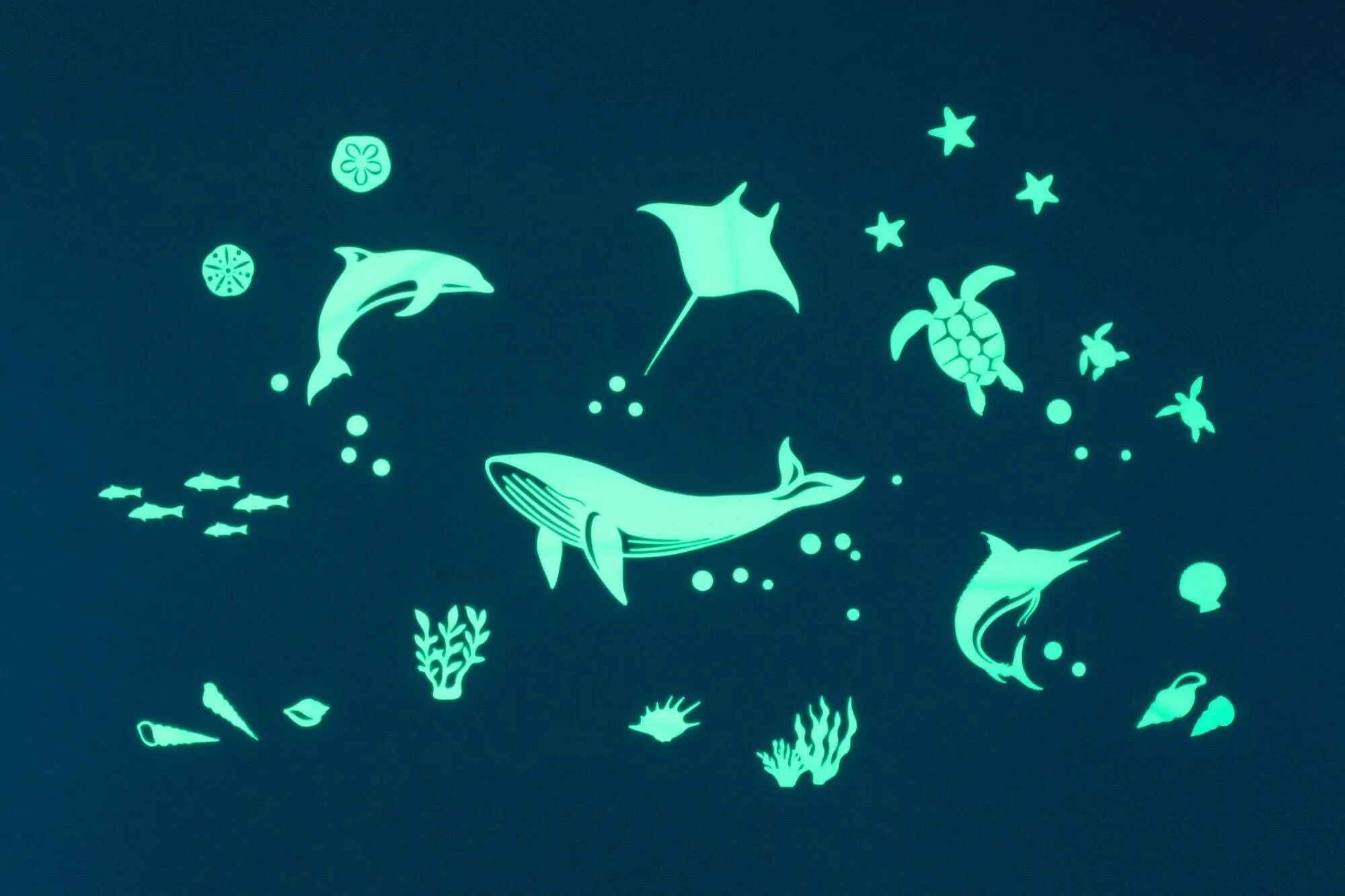 Sea Animals