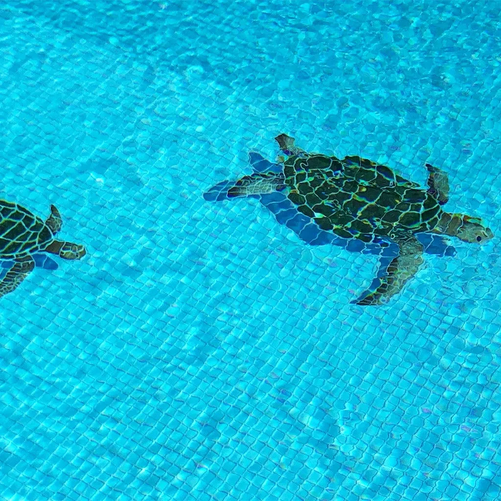 Sea Turtle - Natural w/Shadow - Pool Mosaic