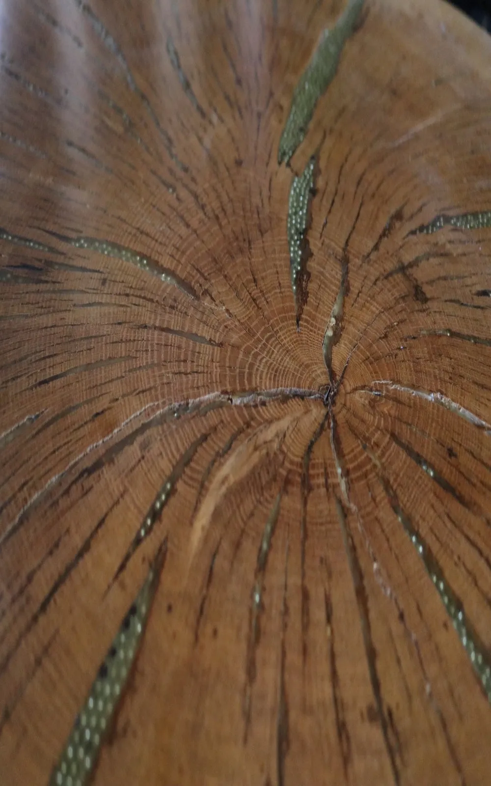 Tree Table